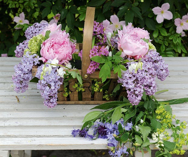 Lag en oval fasong Lag en oval fasong